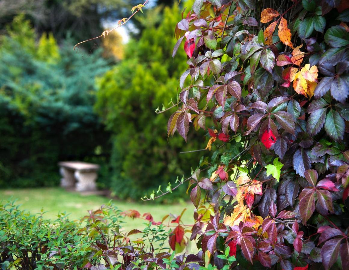 Birches Cottage & The Willows Garden Room Underberg Exterior foto