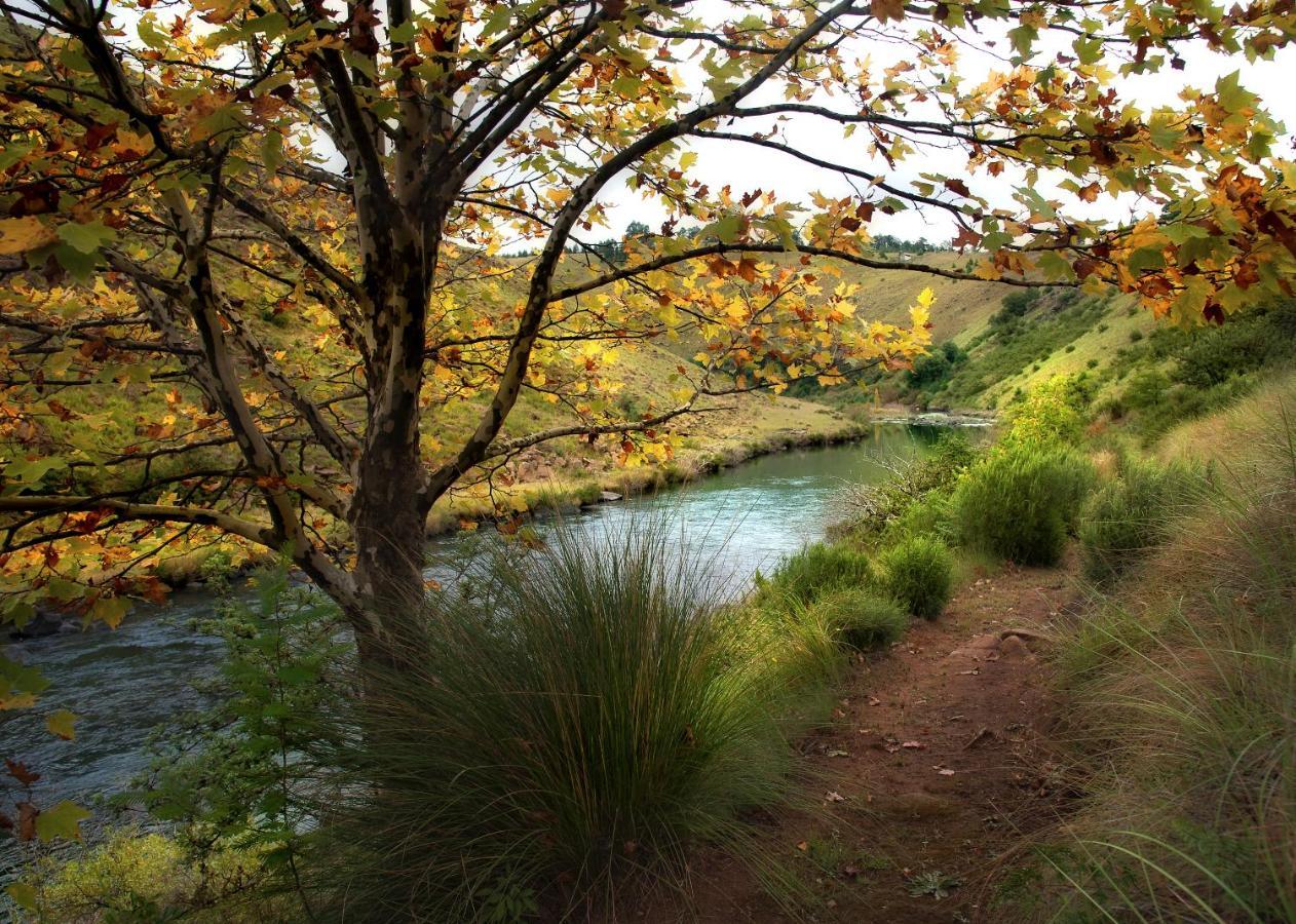 Birches Cottage & The Willows Garden Room Underberg Exterior foto