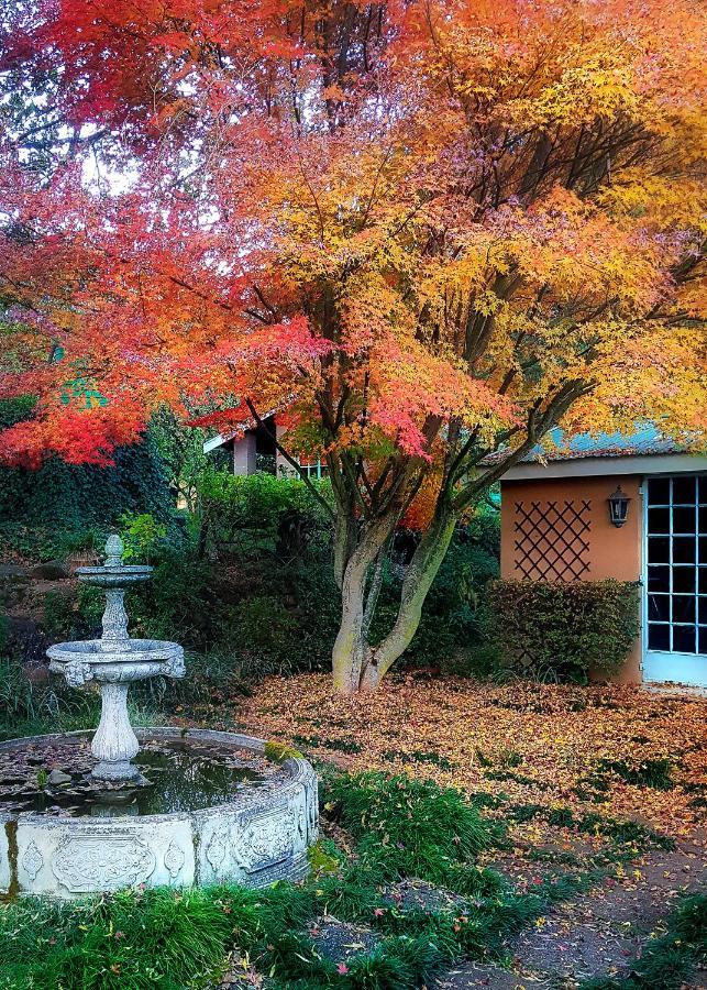 Birches Cottage & The Willows Garden Room Underberg Exterior foto