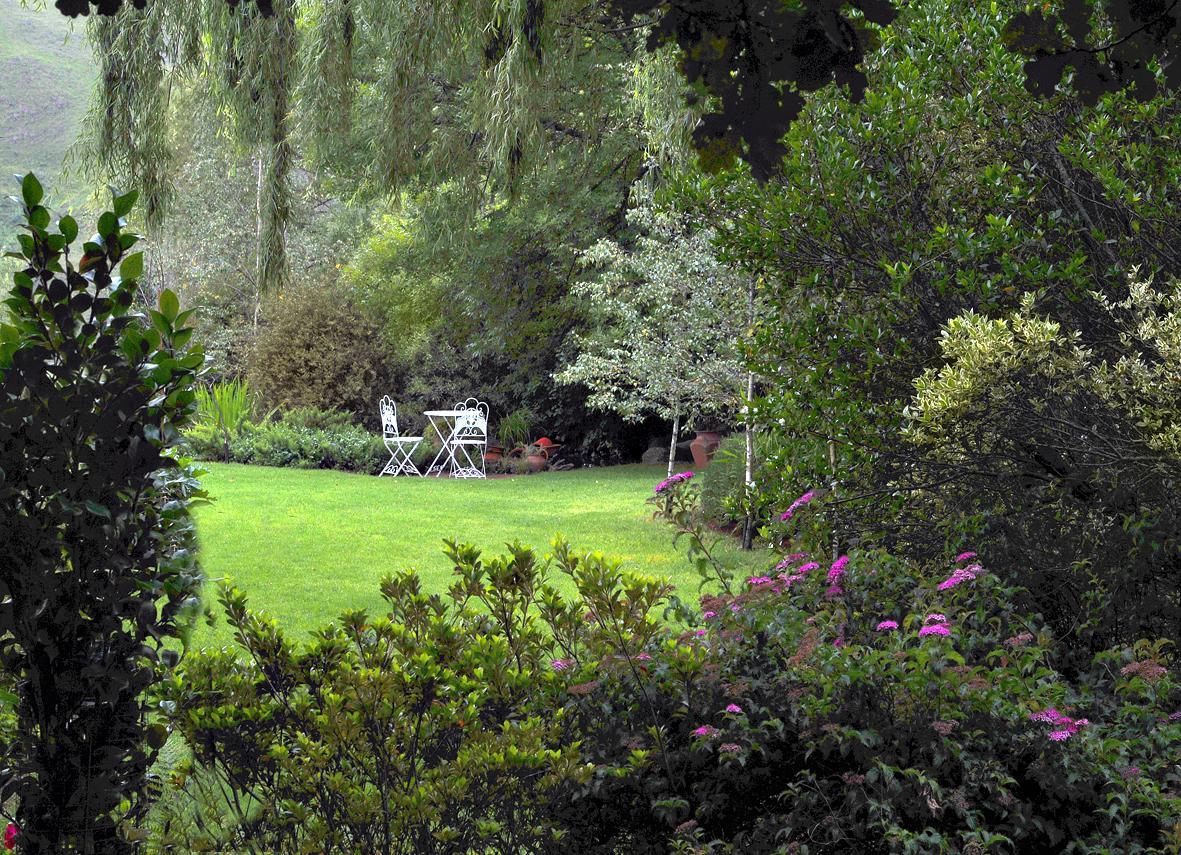 Birches Cottage & The Willows Garden Room Underberg Exterior foto