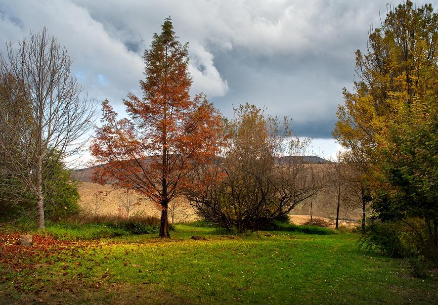 Birches Cottage & The Willows Garden Room Underberg Exterior foto